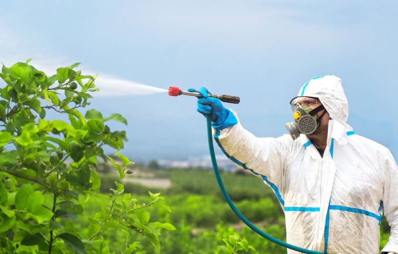 Roach Fumigation in Ann Arbor, MI