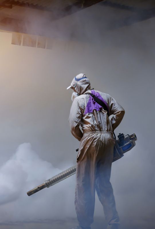 Spider Fumigation Service in Clarksville, TN